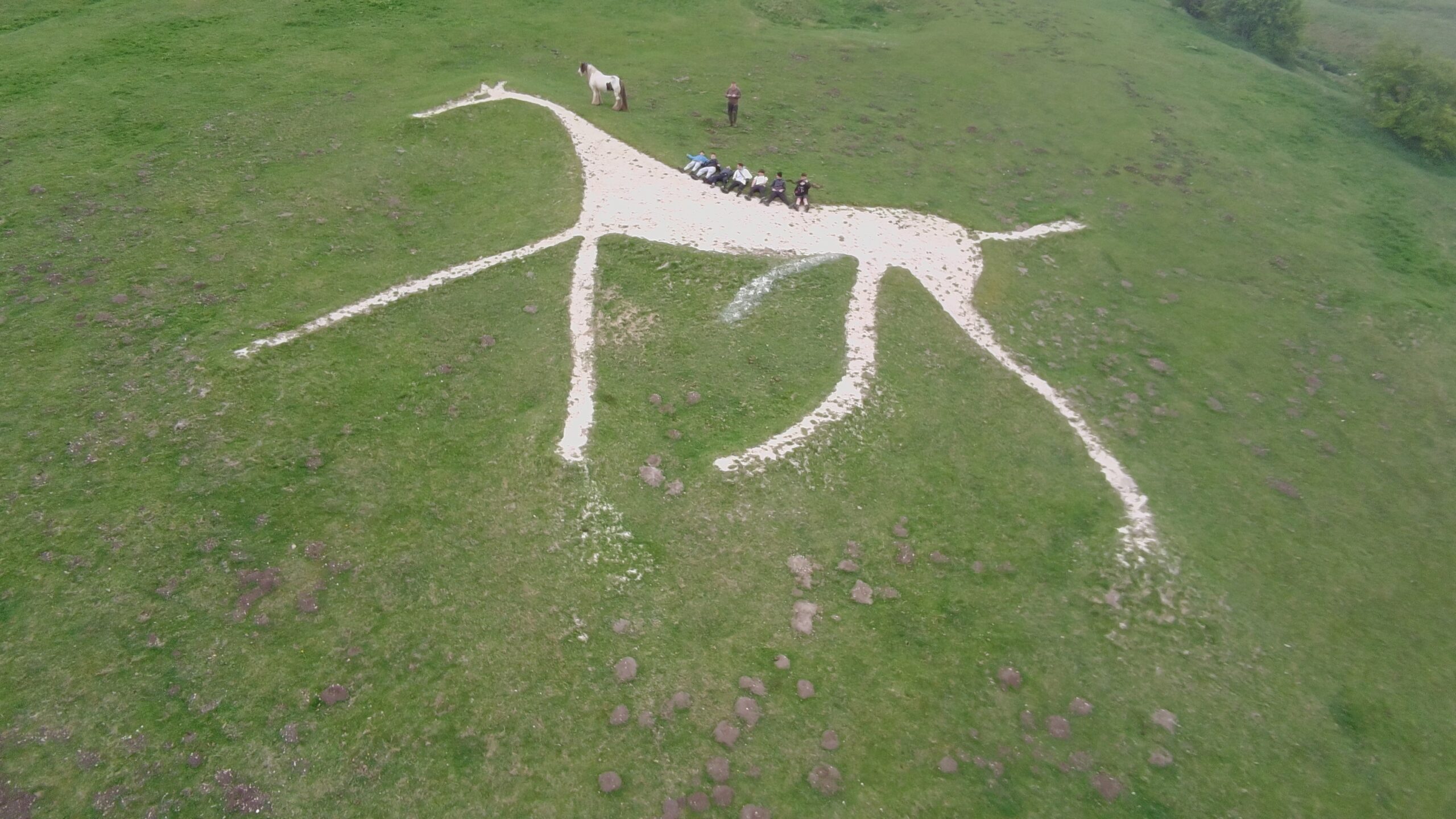 Read more about the article Plod to the Uffington White Horse: A Journey of Resilience and Unity